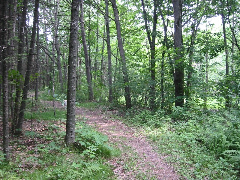 Nature Trail