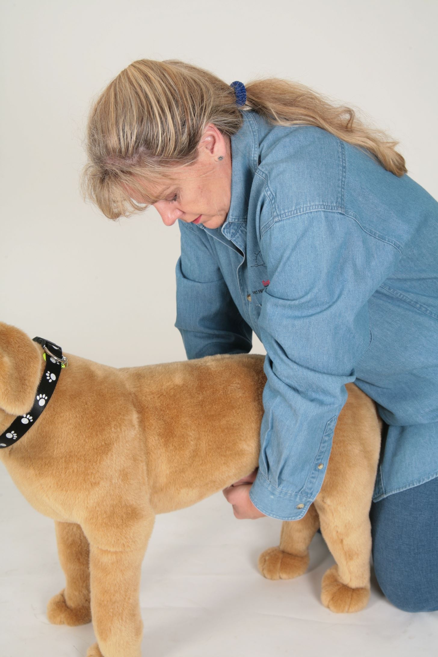 RESIZED-Doggie-Heimlich-like-Technique-Photo-by-PawPrince-Studios