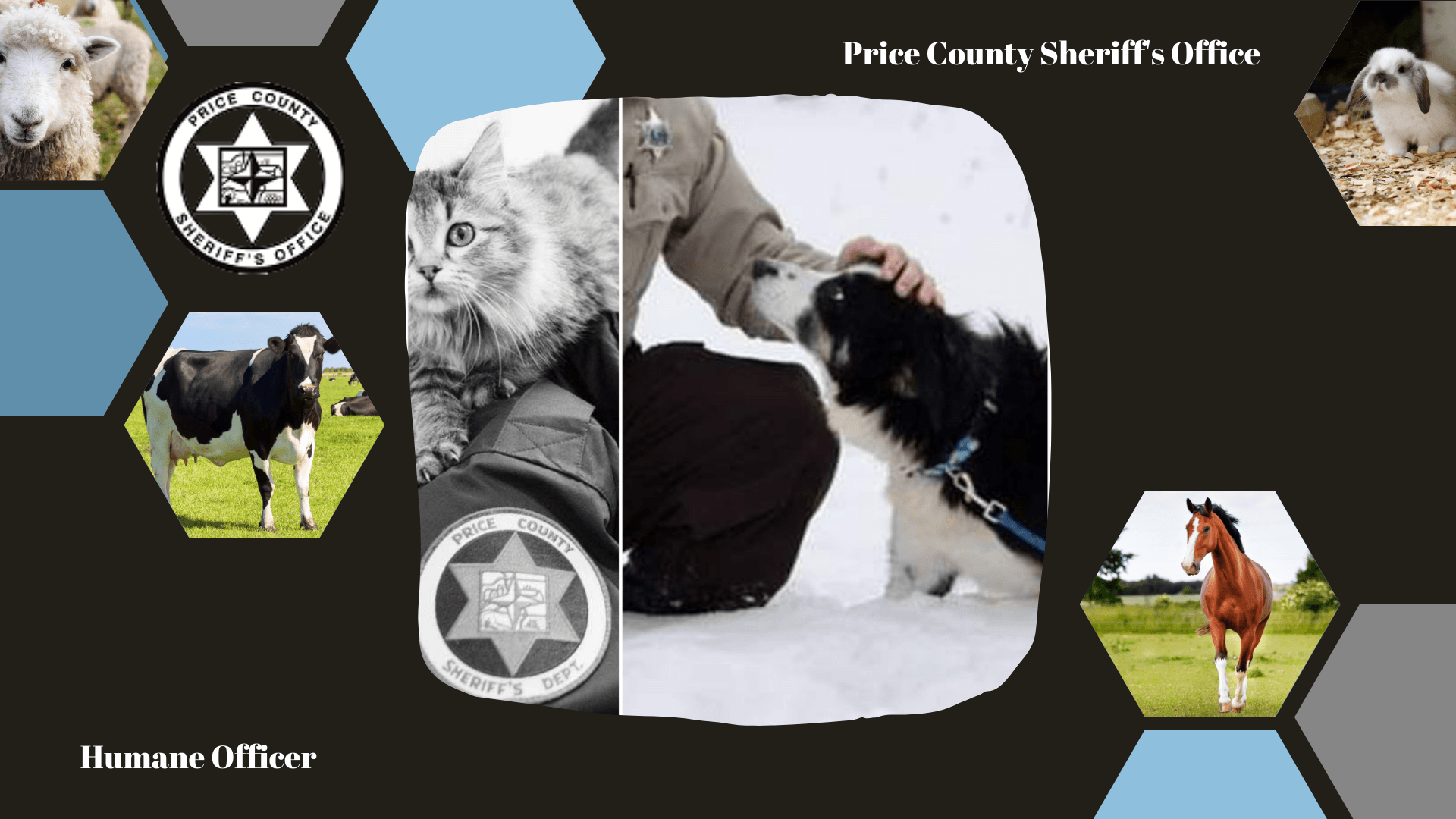 Humane Officer Banner (2)