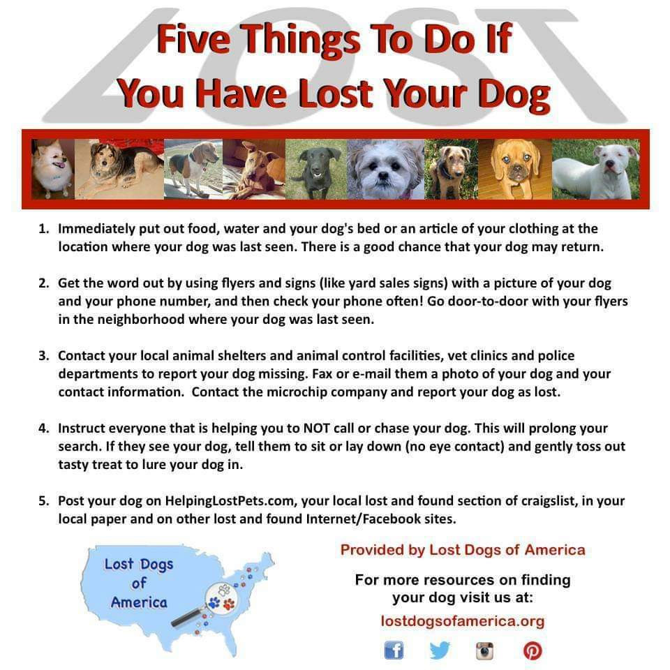 facebook_1615397731130_6775469165273243868