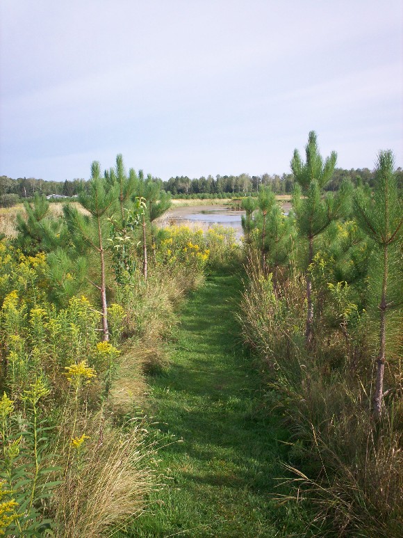 Nature Trail & Pond